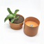 Hidden Safe Flower Pot – Secret Storage with Key Lock