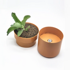 Hidden Safe Flower Pot – Secret Storage with Key Lock